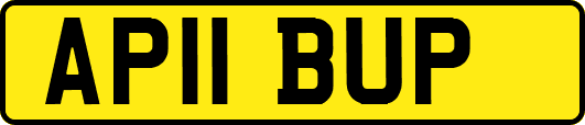 AP11BUP
