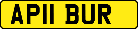 AP11BUR