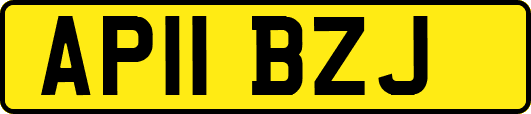 AP11BZJ