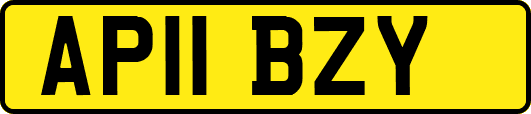 AP11BZY