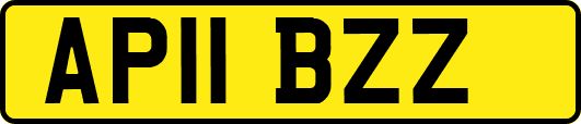 AP11BZZ