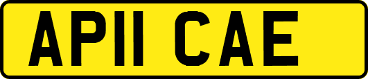 AP11CAE
