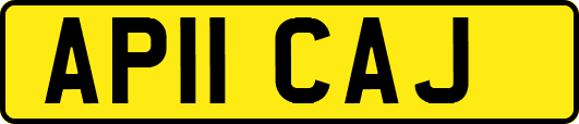 AP11CAJ