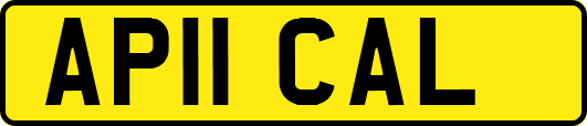 AP11CAL