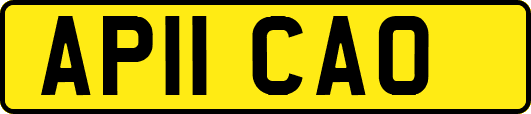 AP11CAO