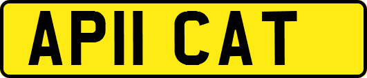 AP11CAT
