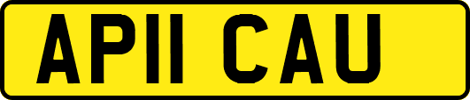 AP11CAU