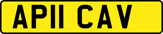 AP11CAV