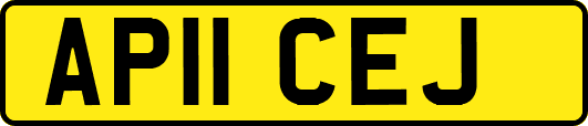 AP11CEJ