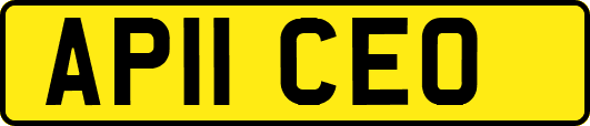 AP11CEO