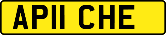 AP11CHE