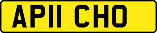 AP11CHO