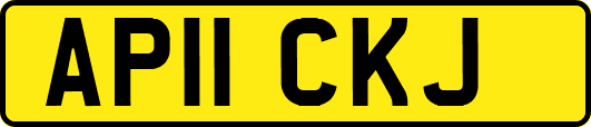 AP11CKJ