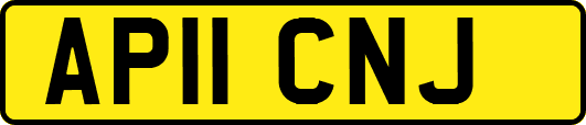AP11CNJ