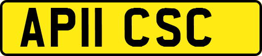 AP11CSC