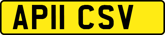 AP11CSV