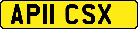 AP11CSX