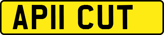 AP11CUT