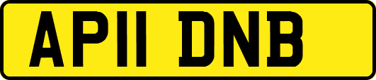 AP11DNB