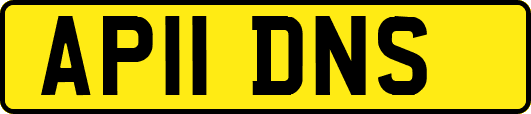 AP11DNS