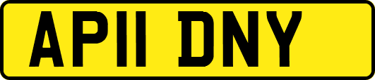 AP11DNY