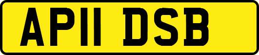 AP11DSB