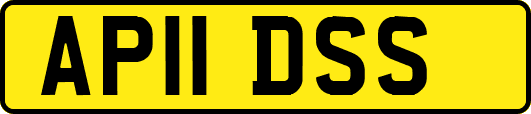 AP11DSS