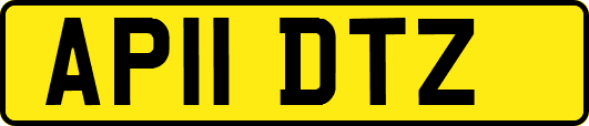AP11DTZ