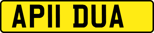 AP11DUA