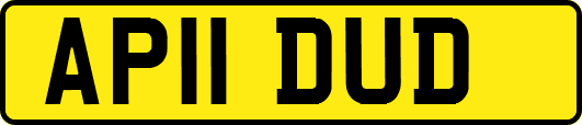 AP11DUD