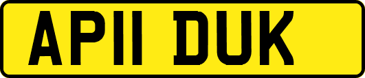 AP11DUK