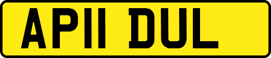 AP11DUL