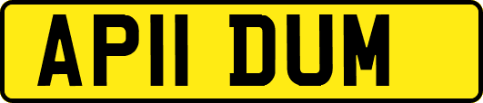 AP11DUM