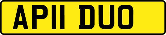 AP11DUO