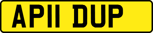 AP11DUP