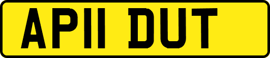 AP11DUT