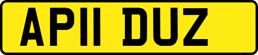 AP11DUZ