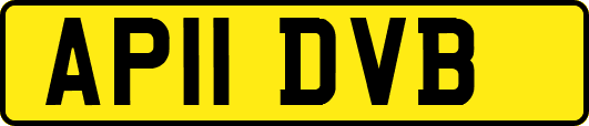 AP11DVB