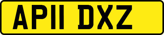 AP11DXZ