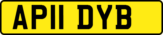 AP11DYB