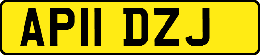AP11DZJ