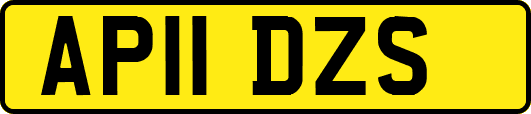 AP11DZS