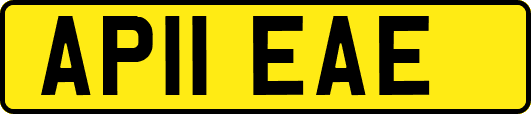 AP11EAE