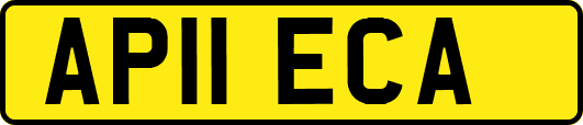 AP11ECA