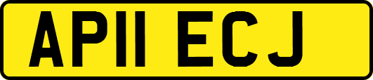 AP11ECJ