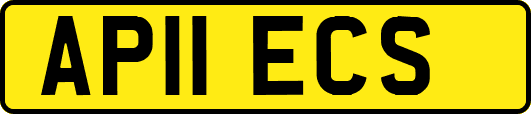 AP11ECS