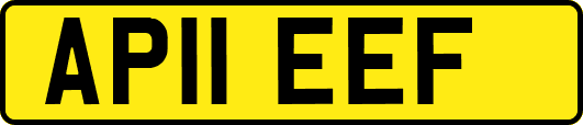 AP11EEF
