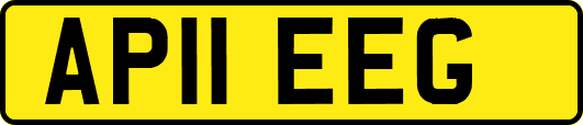 AP11EEG