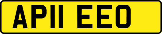 AP11EEO