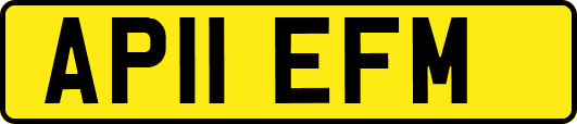 AP11EFM